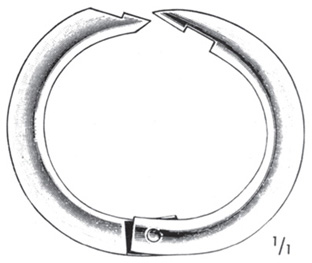 Restraining Equipment