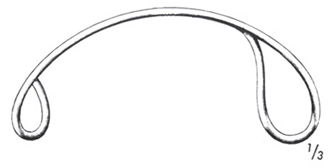 Obstetric Instrument